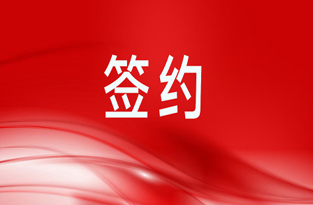 5.63億元智算項(xiàng)目服務(wù)合同！助力客戶(hù)構(gòu)建高效智算集群